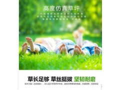 仿真草坪塑料草坪假草皮幼儿园仿真人工绿色地毯户外阳台人造草坪图2