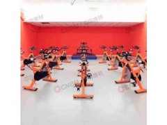 健身房用PVC塑胶运动地板 单车器械重力区健身房运动地胶图3