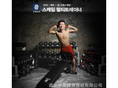 多功能仰卧板 罗马椅 哑铃凳 家用组合健身器材图2