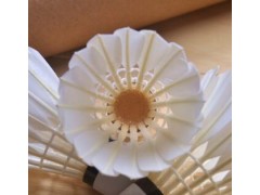 羽毛球 亚6羽毛球 耐打型球训练球 娱乐羽毛球 鹅毛球 耐打不怕图3