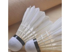 批发樱桃谷全圆耐打型羽毛球训练比赛型飞行稳定击球感好一件代发图2