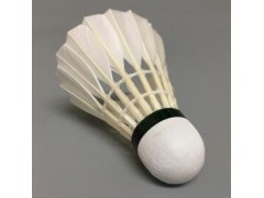 正品健闲JG-1超耐打羽毛球 耐打王训练球比赛专用球羽毛球批发图3