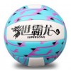 世霸龙排球 机缝中考标准用软式中小学生充气标准用球可定制