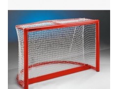 供应龙威国际标准轮滑球门(roller HOCKEY GAOL)图2