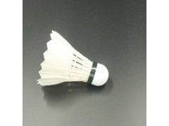 鹚鹄鸭全圆羽毛球场馆训练专用 稳定耐打图2