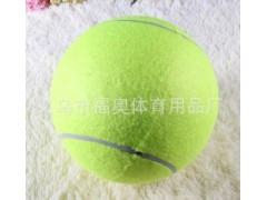签名网球9.5寸充气大网球毛绒材料环保无毒体育用品图3