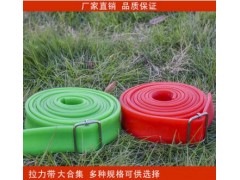 力量训练TPE拉力带 健身田径训练带 瑜伽带橡胶阻力带图1