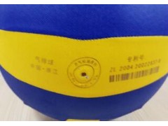 正品天天乐气排球 国家指定用球 老年人 中小学生气排球图2