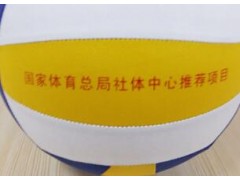 正品天天乐气排球 国家指定用球 老年人 中小学生气排球图3