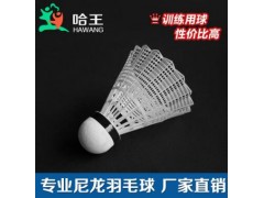哈王尼龙羽毛球 哈王H500白色耐打专业羽毛球图3