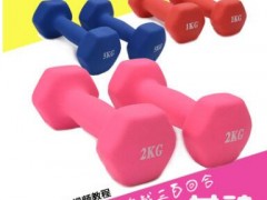 哑铃一对1kg3公斤女士跳操瘦手臂塑臂瑜伽儿童小亚铃家用图2