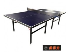 正品傲喜龙8021乒乓球台家用室内折叠标准乒乓球桌图3