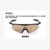 护目镜 专业骑行运动眼镜/自行车风镜摩托车防风太阳镜SWAT(100)