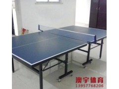 乒乓球桌、室内乒乓球台折叠乒乓球桌 温州乒乓球台图2
