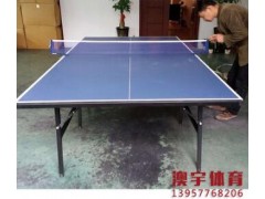 温州乒乓桌厂 温州乒乓球桌 价格尺寸 温州澳宇体育器材图2