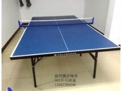 温州乒乓桌厂 温州乒乓球桌 价格尺寸 温州澳宇体育器材图3