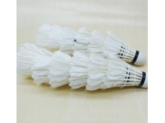 晨兮文具体育用品羽毛球训练用球发泡球耐用桶装12支厂价直销图2