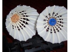 大量现货批发A级耐打王羽毛球 精细做工时尚耐打羽毛球可定制图2