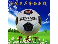 工厂直销自主品牌甲天下4号黑白片彩色片机缝超亮高发泡PVC足球图1