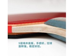厂家直销成人学生乒乓球拍双拍儿童兵乓球拍初学者横拍ppqp图3