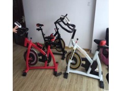 厂家动感单车静音健身车 室内家用运动脚踏车瘦身健身器材图2