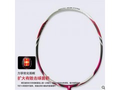 全碳素羽毛球拍正品 一件代发加工定制 体育用品图3