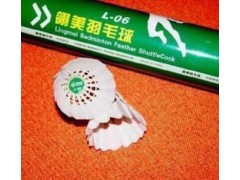 供应 翎美L-06图3