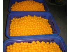 厂家直销PP料有缝乒乓球单个重1.2克图3