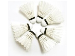 高品质羽毛球 6只装特价 厂家直销羽毛球 耐打飞行稳定 天天 供应图3