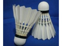 供应菲林耐打王羽毛球图2