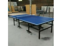 供应 耀辉品牌 体育器材 乒乓球 台图3