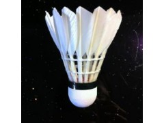 供应辰羽羽毛球训练级A耐打羽毛球图3