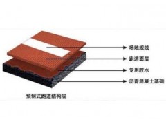 预置型塑胶跑道销售图2