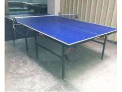 厦门乒乓球台湖里乒乓球台图3