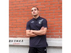 长城武术ccwushu 武术太极T恤 武术文化衫 太极文化衫 唐装T恤图2