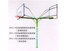 海燕式地埋圆管篮球架图3