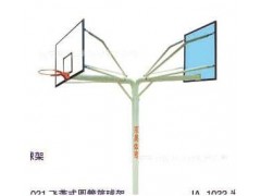 专业生产体育器材 健身路径 球类配套器材 飞燕式圆管篮球架图2