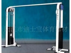 专业健身器材大飞鸟(图)图3