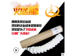 正品无标耐打鹅毛雅风一号羽毛球12只装室内外场馆训练比赛用球图3