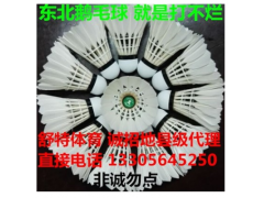 羽毛球生产厂家直销 批发特耐打的羽毛球 普菲克特耐打王 绿王图2