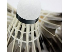 跃勇鹅毛羽毛球厂家批发家庭学生体育用品运动健身器材12只装球图3