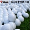 高尔夫球厂家 GOLF练习球 高尔夫双层练习球 空白