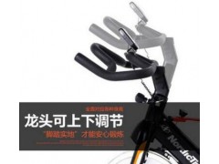 爱康ICON动感单车GX3.6 家用静音室内健身自行车脚踏车单车图3