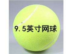 REGAIL大网球9.5“签名大网球 宠物网球 狗狗玩大网球直径24cm