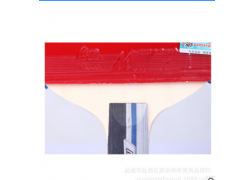 马琳5星五星级5006乒乓球拍双面反胶直拍成品拍1支装含拍套图2