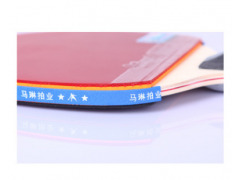 马琳5星五星级5006乒乓球拍双面反胶直拍成品拍1支装含拍套图3