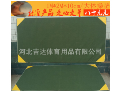 厂家直销 1米*2米*0.1米 大体操垫 运动垫子 学校用垫子特价批发图3