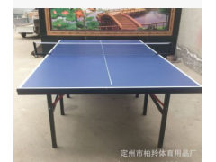 厂家直销标准球台 乒乓球桌系列 室内外可折叠乒乓球桌图2