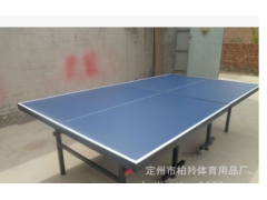 厂家直销标准球台 乒乓球桌系列 室内外可折叠乒乓球桌图3