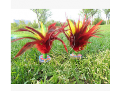 批发大神鹰花毽 比赛毽球 大花毽子 鸡毛毽子图3